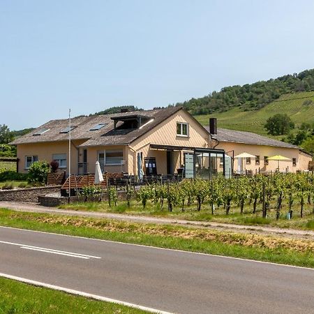 Weingut J. A. Meyer Bed & Breakfast Wintrich Exterior foto